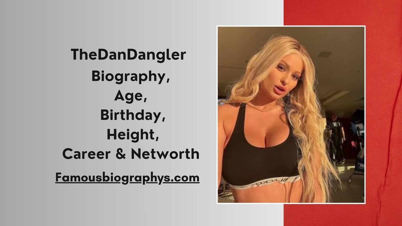 TheDanDangler